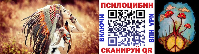 Псилоцибиновые грибы Psilocybe  Нефтегорск 